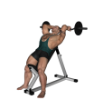 Triceps Extension - Reverse Incline EZ Bar